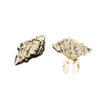 Shelly Clipée 2pcs